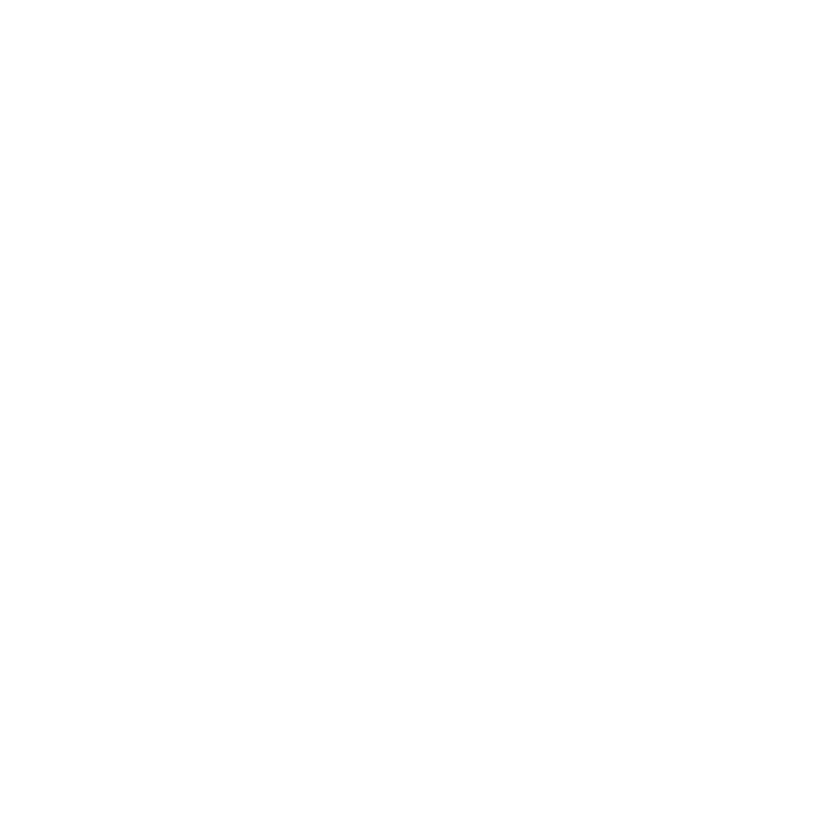 Compusystem